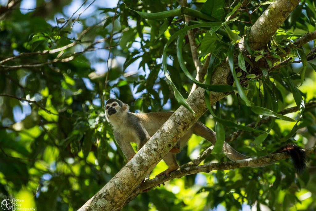 Jamu Lodge Puerto Montufar Zewnętrze zdjęcie